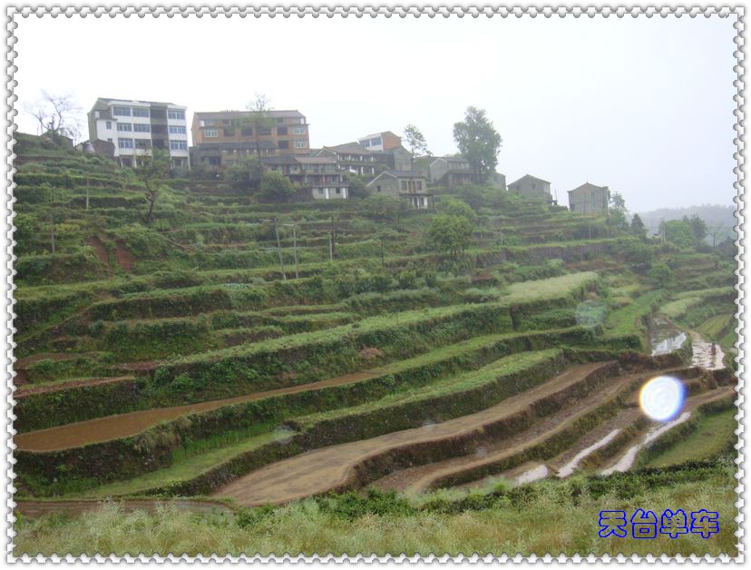 小村，梯田.jpg