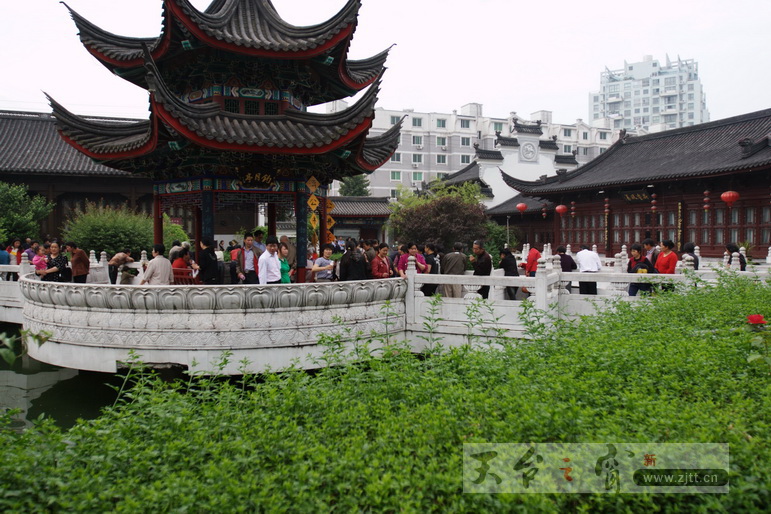 IMG_4593_缩小大小.JPG