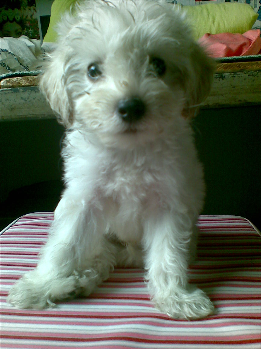 20091011(003).jpg