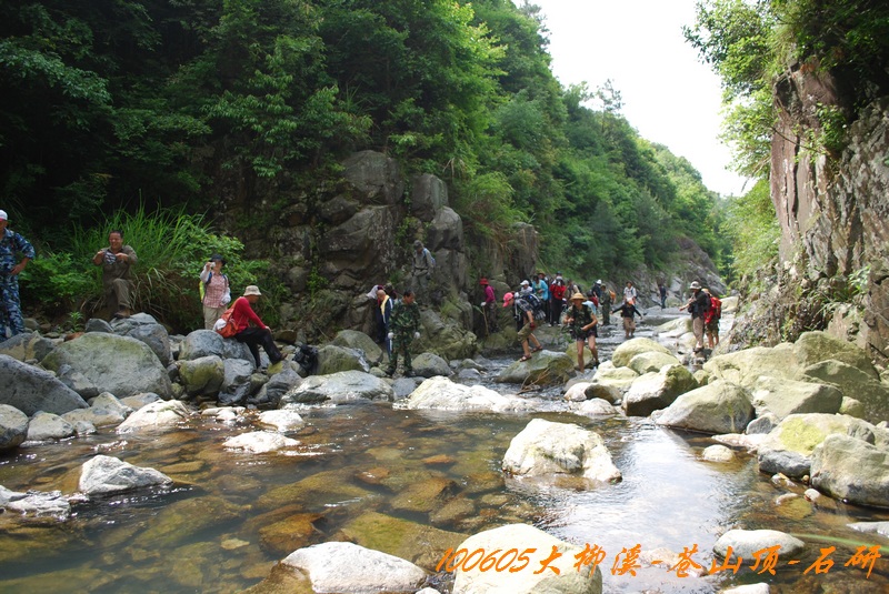 100605大柳溪 095.jpg