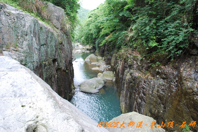100605大柳溪 206.jpg