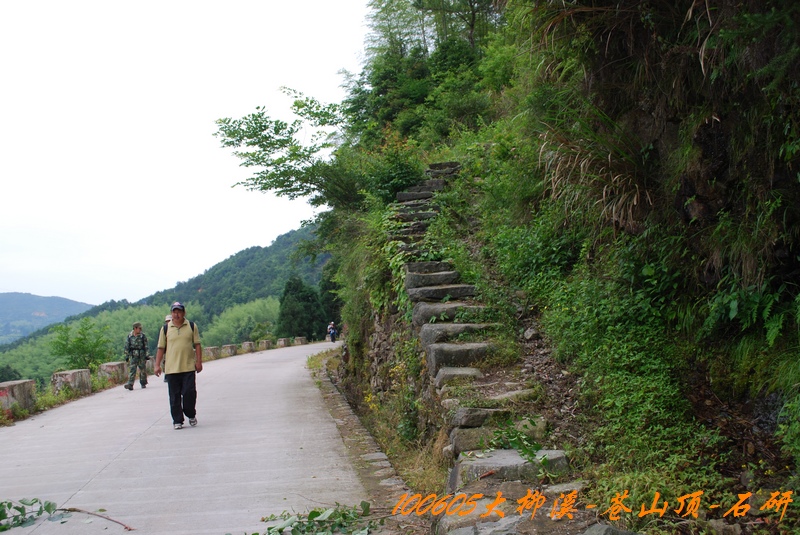 100605大柳溪 243.jpg
