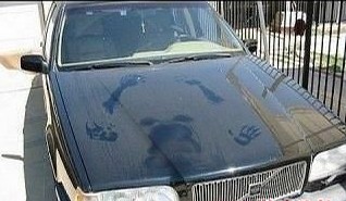 看看前盖的痕迹，昨晚发生什么你懂的~~ .jpg