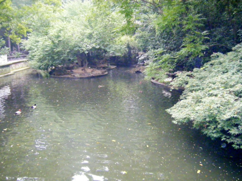 DSCF7150.JPG