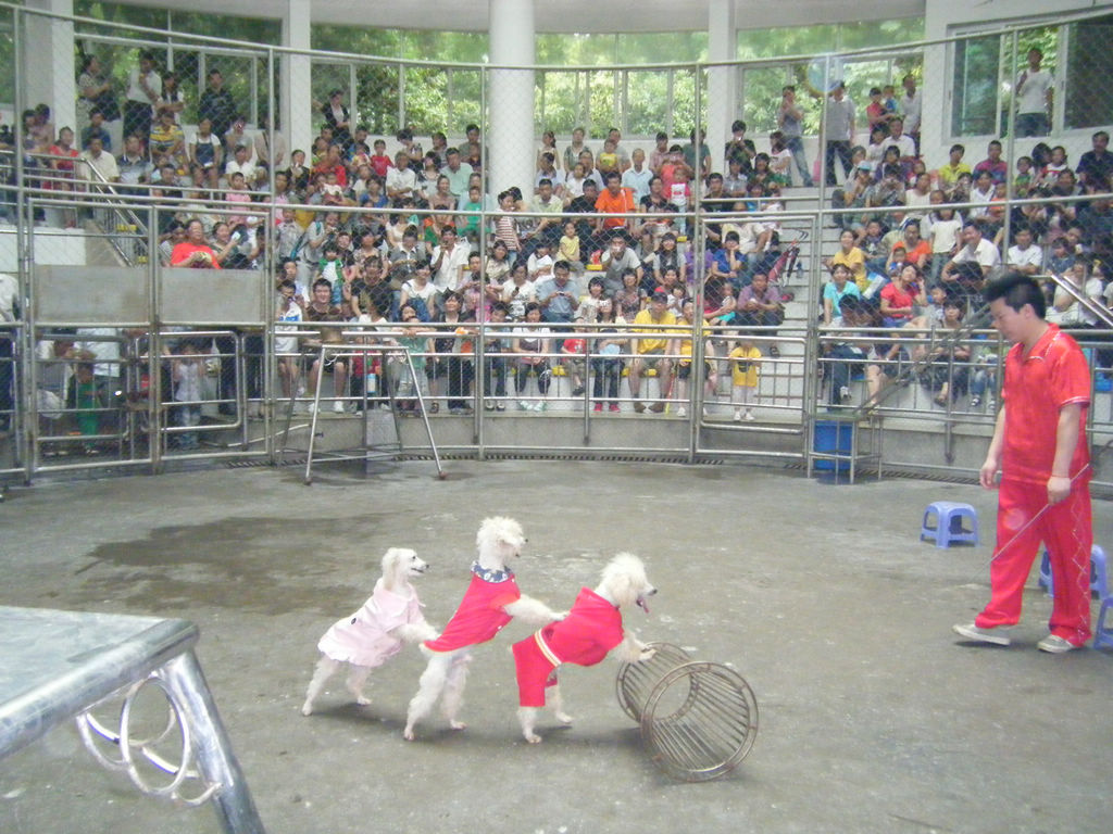 DSCF7173.JPG