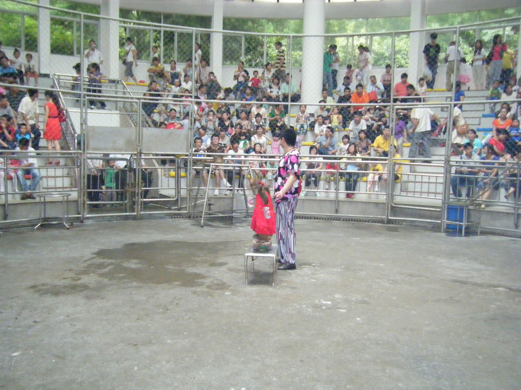DSCF7168.JPG