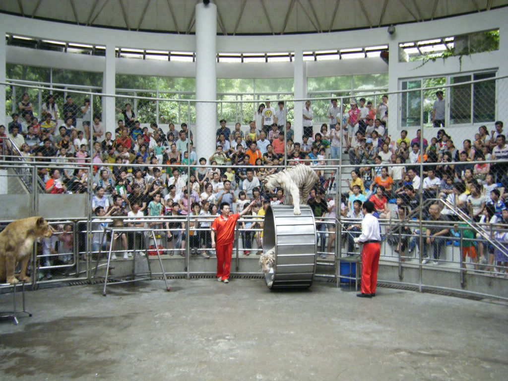 DSCF7181.JPG