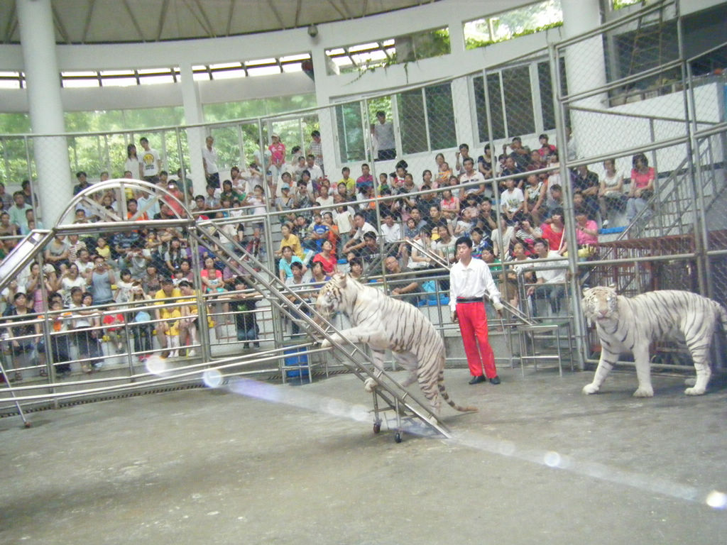 DSCF7176.JPG