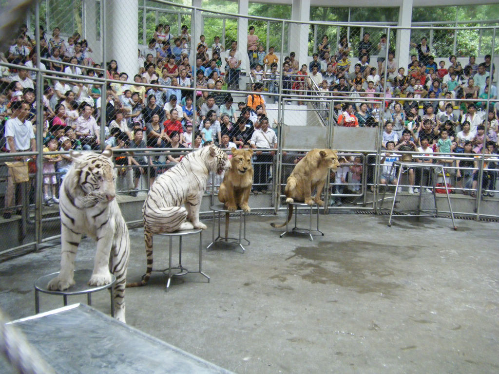 DSCF7180.JPG
