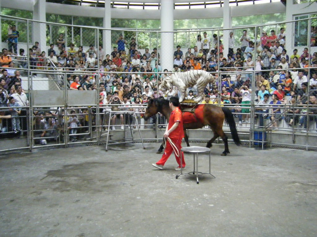 DSCF7184.JPG