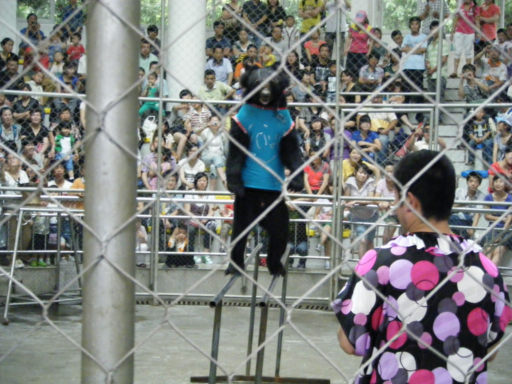 DSCF7193.JPG