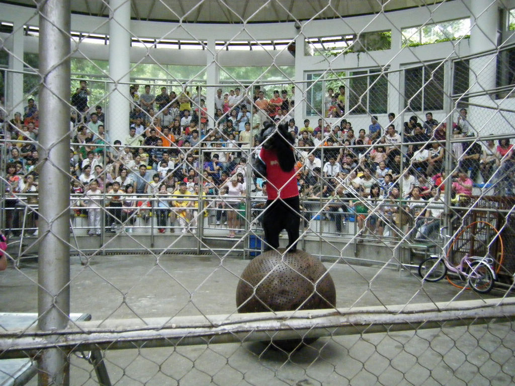 DSCF7189.JPG