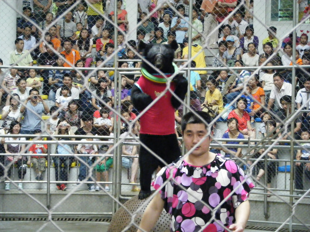 DSCF7190.JPG