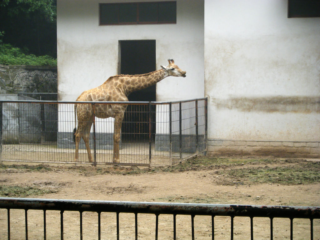 DSCF7199.JPG
