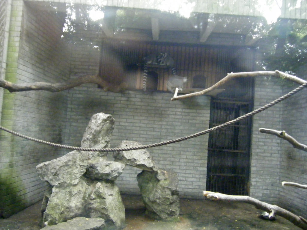 DSCF7212.JPG