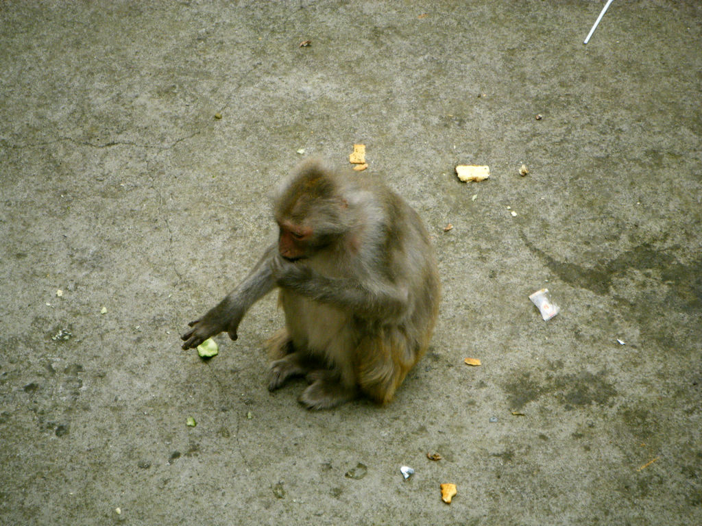 DSCF7208.JPG