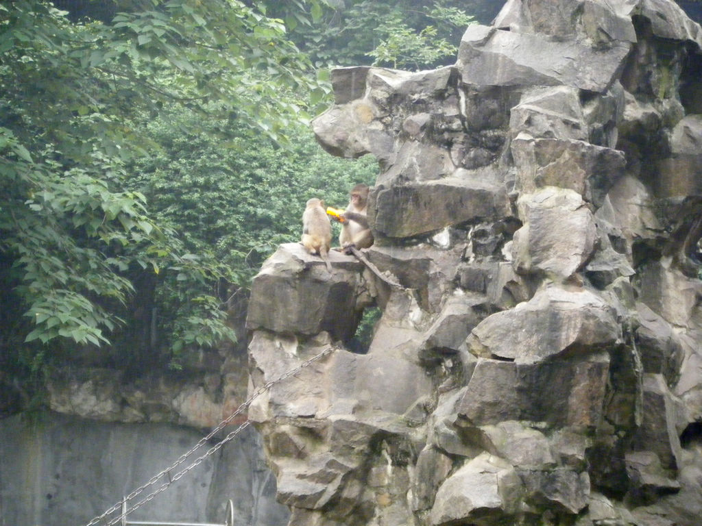 DSCF7207.JPG