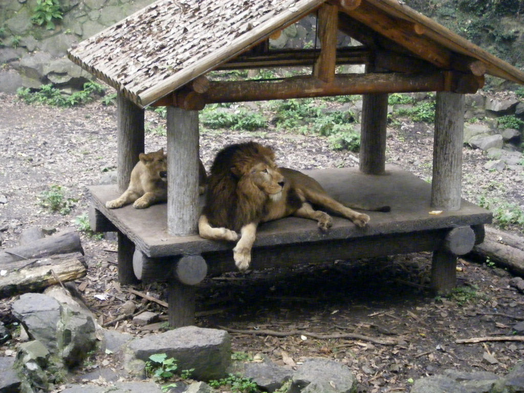 DSCF7218.JPG