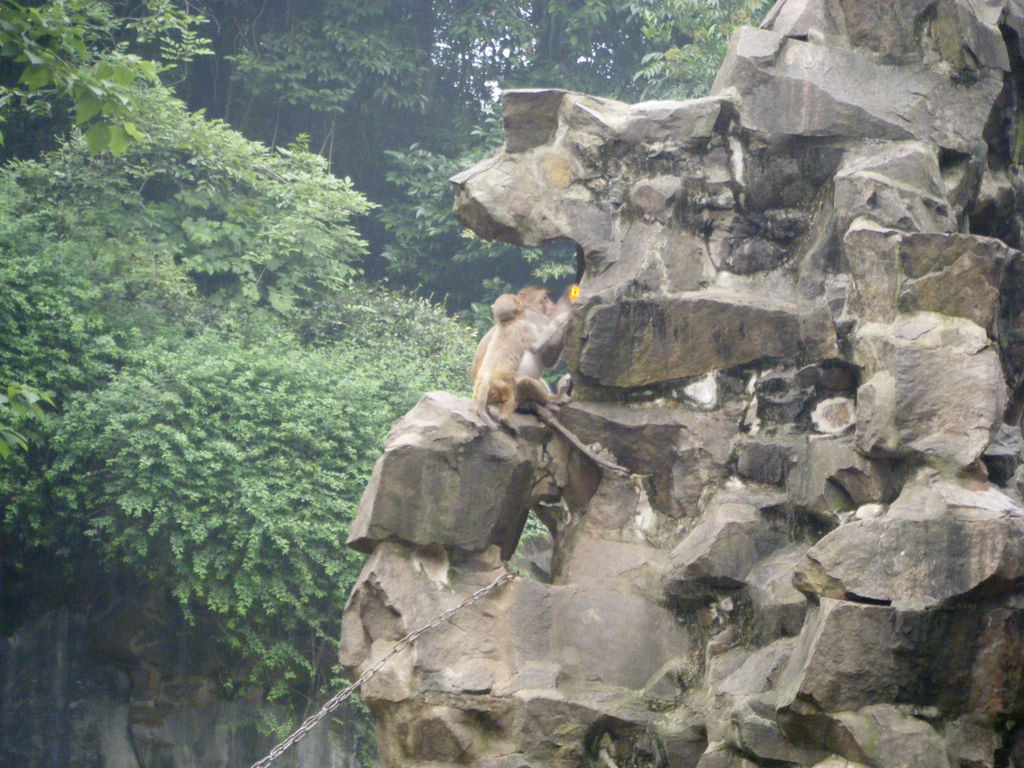 DSCF7209.JPG