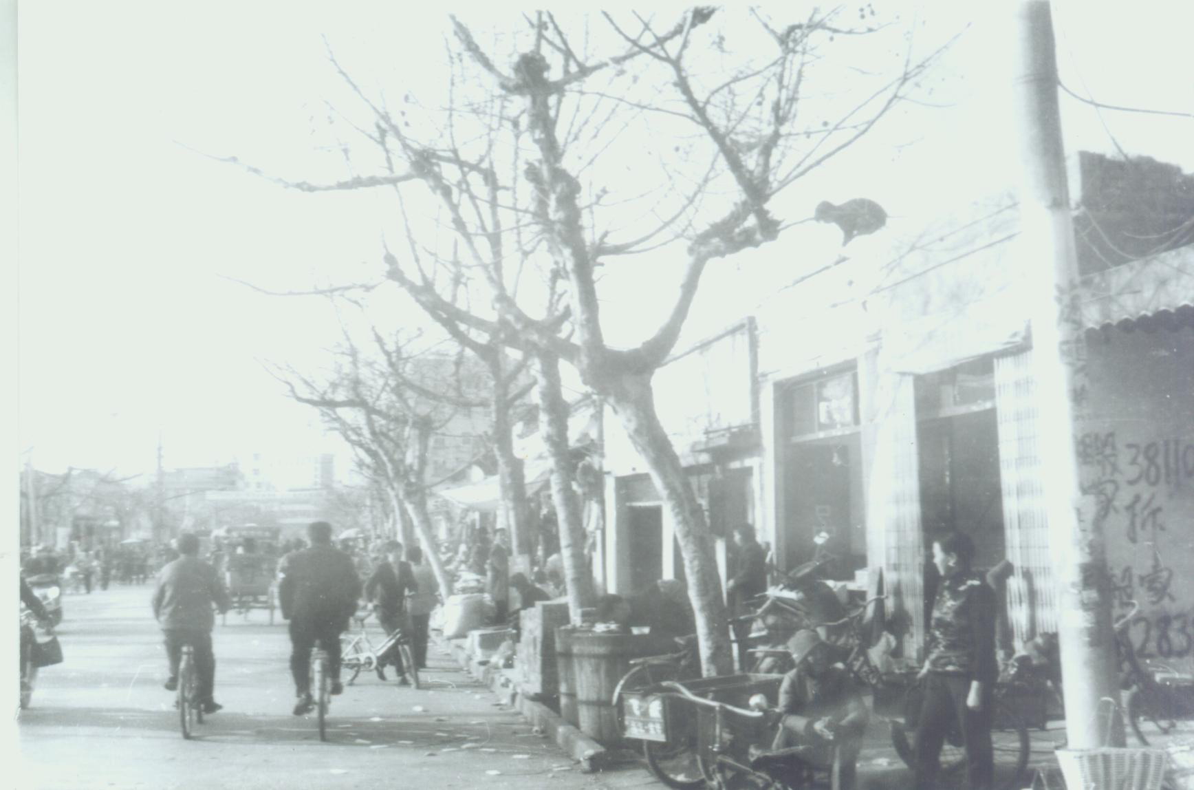 人民西路当初好像骑自行车的特别多.JPG