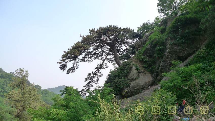 p1040031_副本.jpg