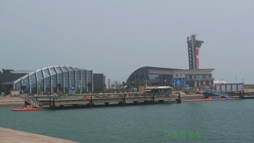 306.jpg