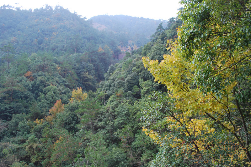 高明景色 (16).jpg