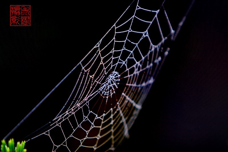 IMG_6549_缩小大小.jpg