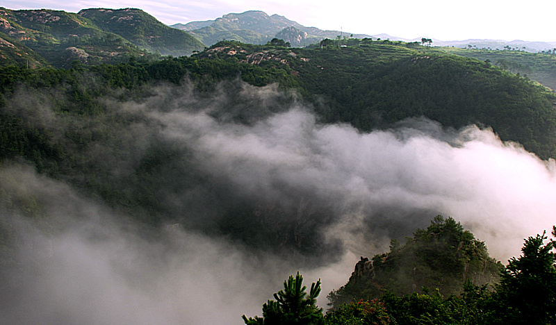 DSC_0846.jpg