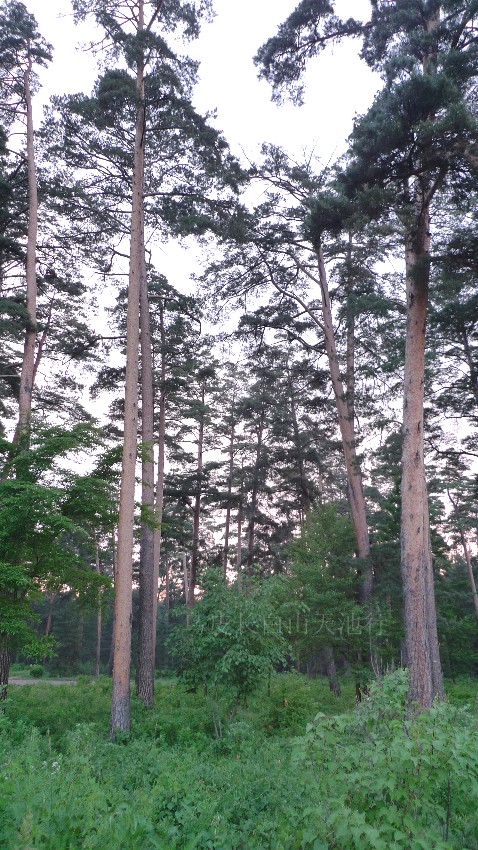186.jpg
