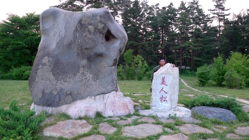 187.jpg