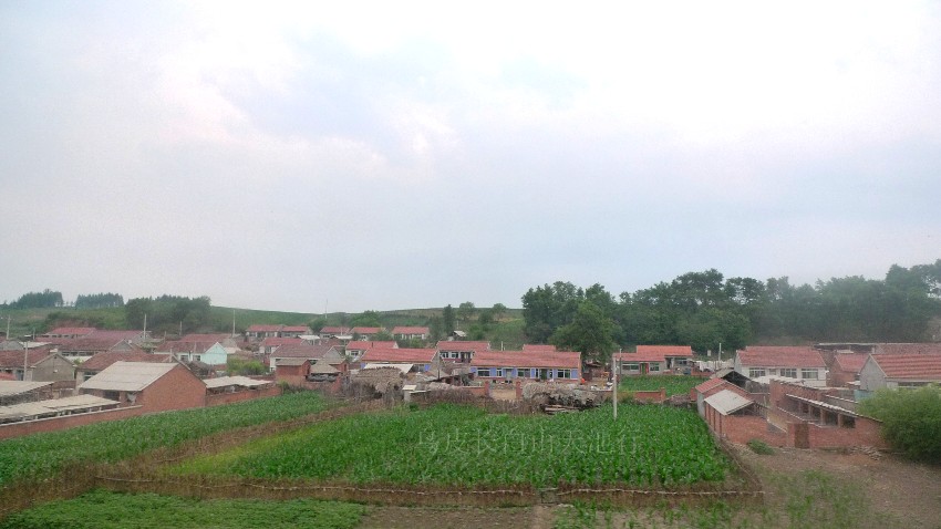 203.jpg