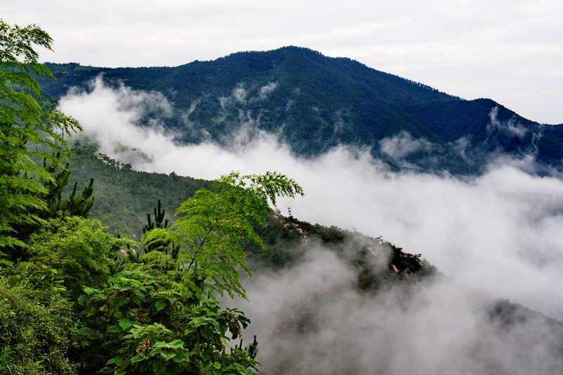 IMG_6672_缩小大小.jpg