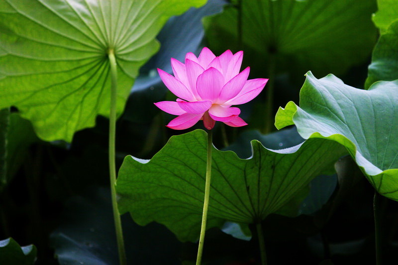 IMG_6773_调整大小.jpg