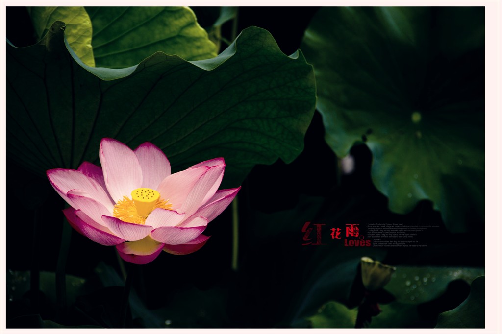 IMG_1488_副本.jpg
