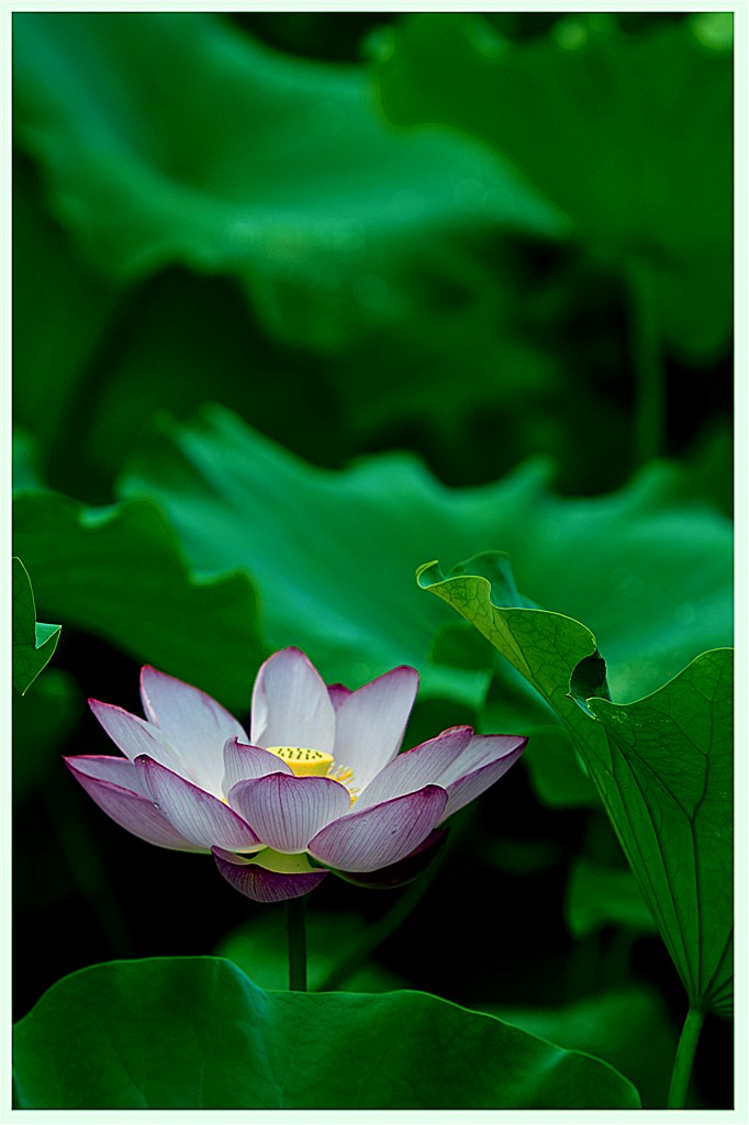 img_1508_副本.jpg