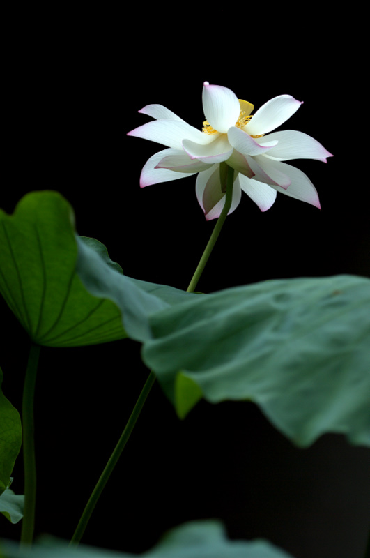 DSC_1302-1.jpg