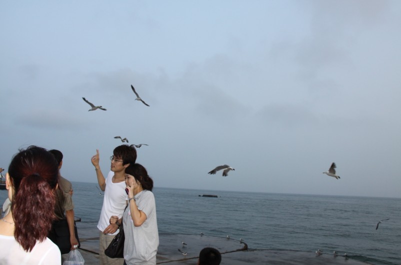 未命名230.jpg