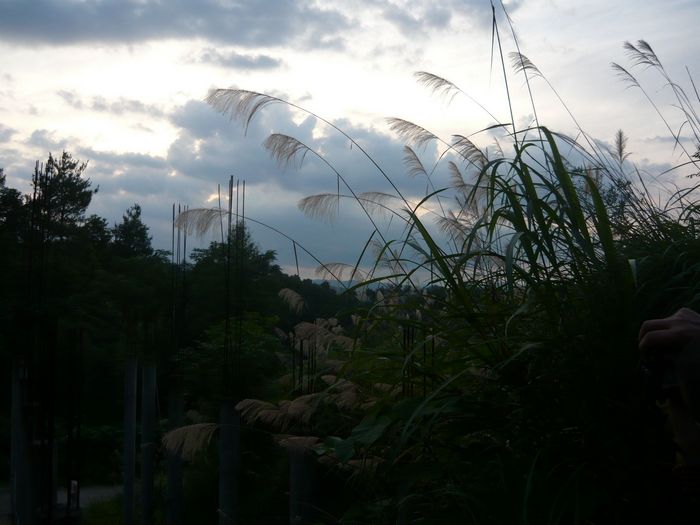 照片 027.jpg