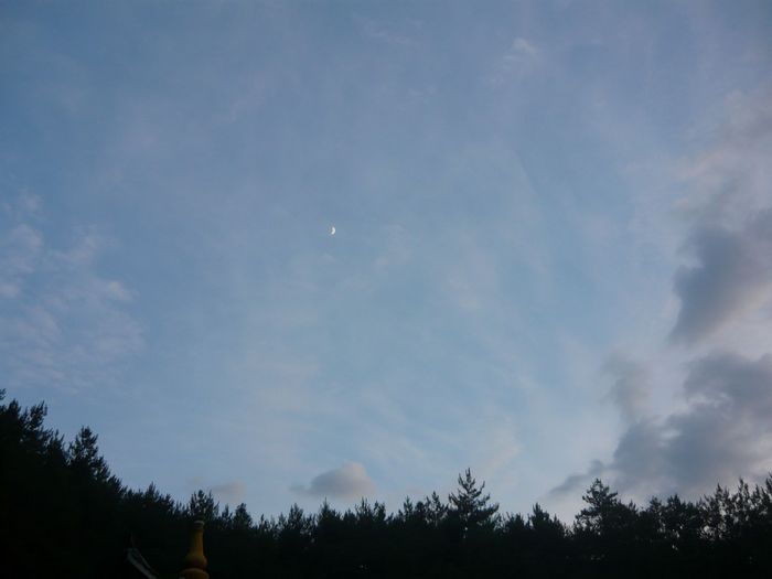 照片 030.jpg