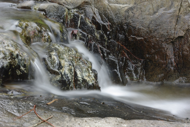 IMGP0801.JPG