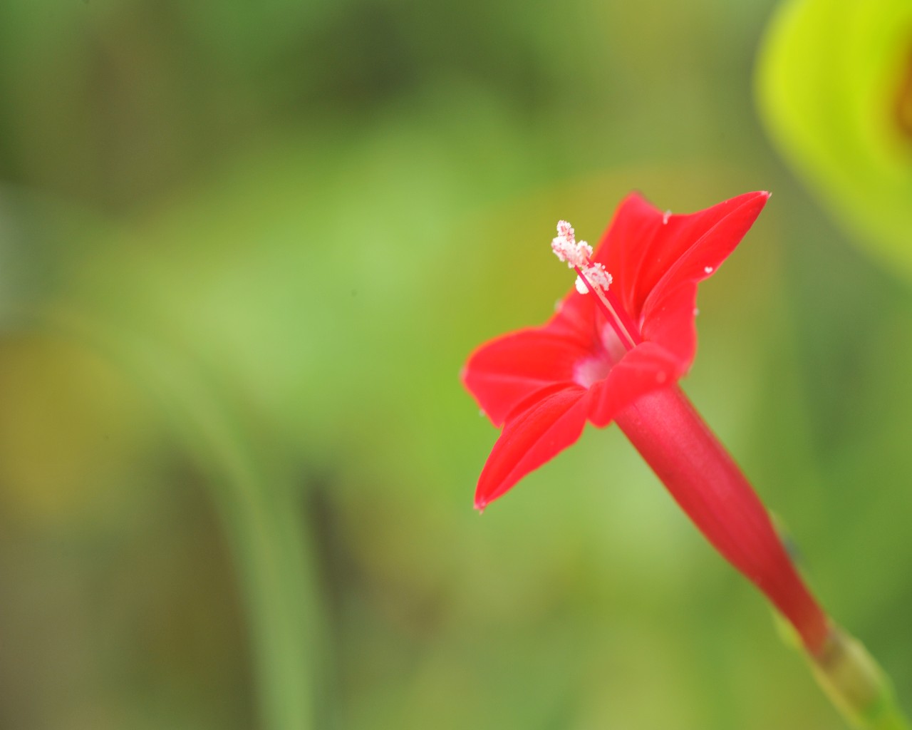 DSC_2694.jpg
