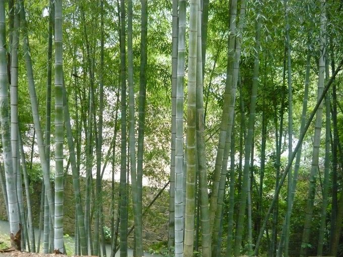 照片 022.jpg