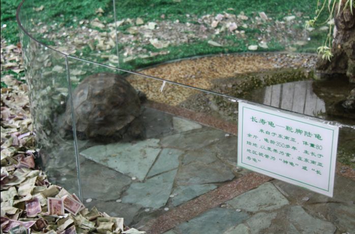 未命名.jpg
