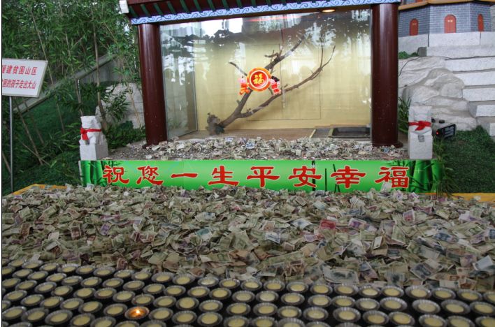 未命名.jpg