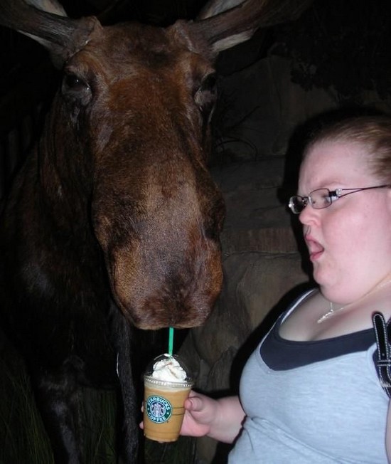 Moose coffee.jpg