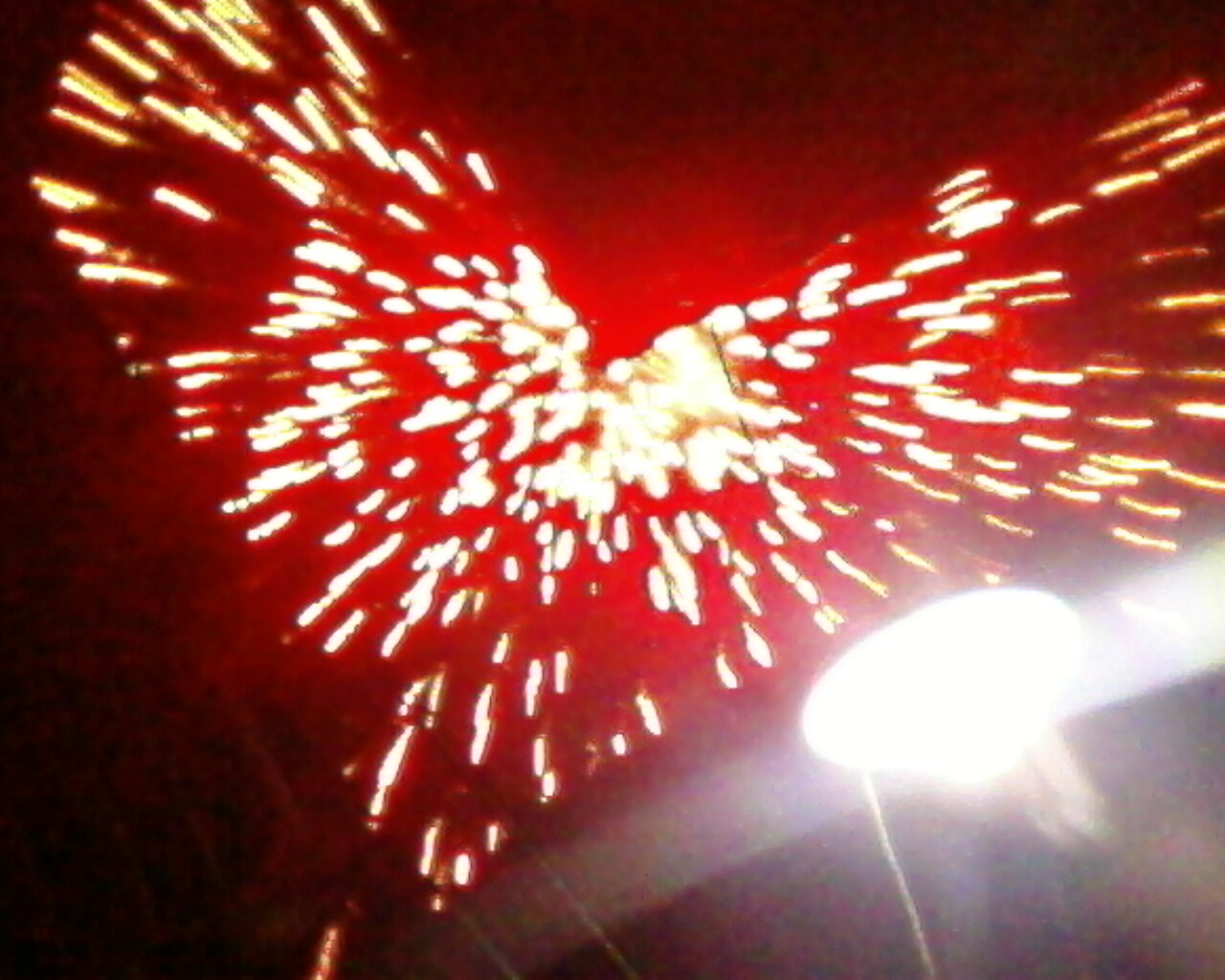 IMG0081A.jpg