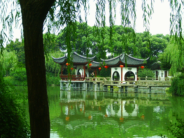 IMAG0502.JPG