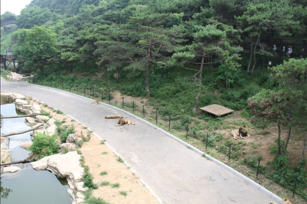 未命名.jpg
