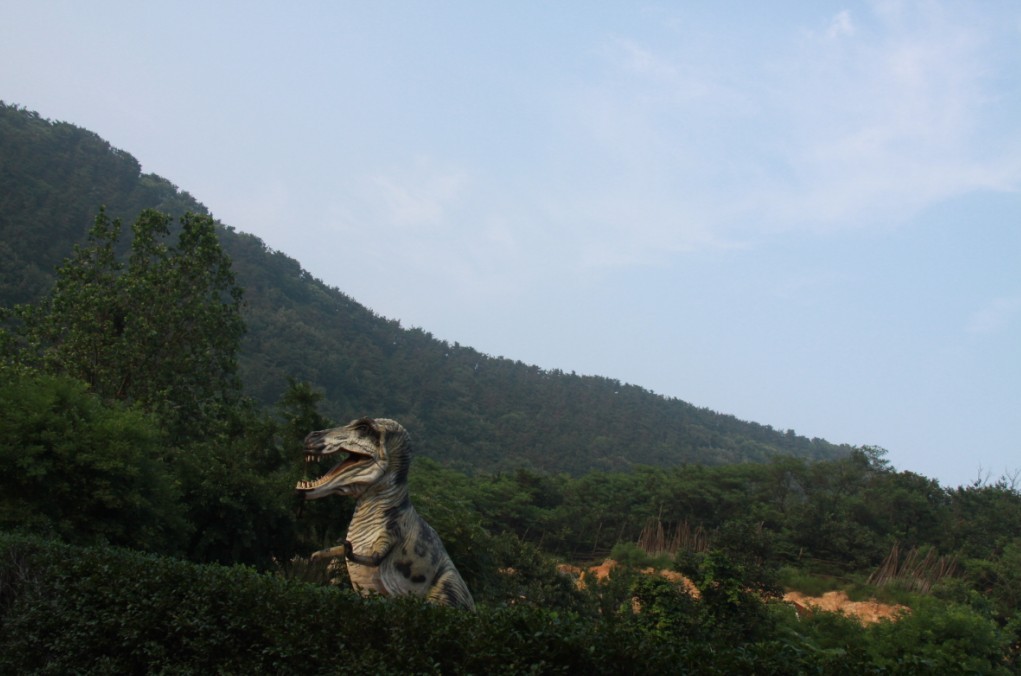 未命名.jpg
